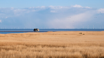 Ostfriesische Landschaften, Landkreis Leer