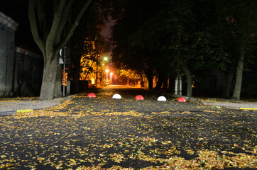 lanterns are burning on the autumn alley