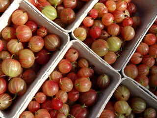 Gooseberries in Edinburgh farmers market.