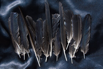 Black feathers of a raven on a background of black satin