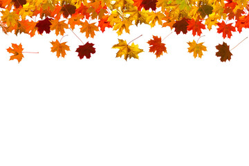 Naklejka na ściany i meble autumn leaves frame isolated on white background