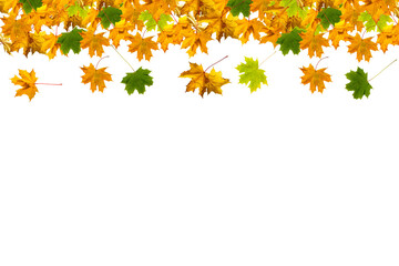 Obraz premium autumn leaves frame isolated on white background