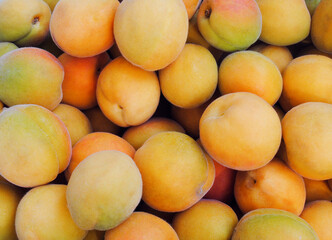 Apricots are young and juicy and tasty