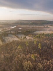 Early spring drone landscape. European forest and fields.