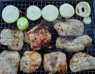 photo of grilled meat and onions