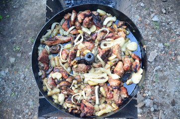 photo of fried meat with onions on a disk