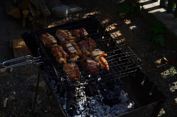 Picnic. Grilled meat. Photo for the background.