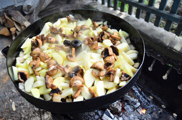 Picnic. Frying pan with mushrooms and potatoes. Food background.