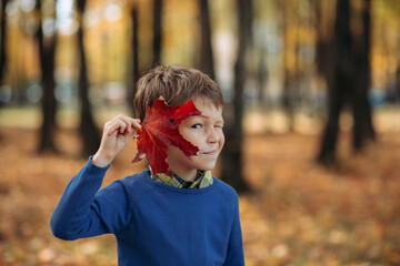 A little boy with maple leaf