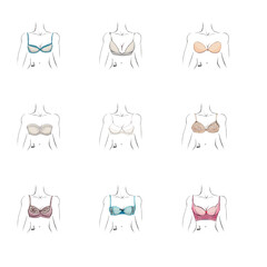 women bra types