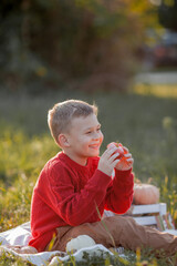 Happy child in a red knitted sweater on an autumn picnic. Autumn portrait of a little handsome boy 6 years old. Warm autumn.