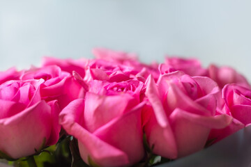 bouquet of fresh pink roses. Beautiful flowers for the celebration. Copy space.