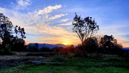 sunset in the field