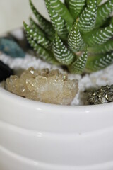 Plants and crystals