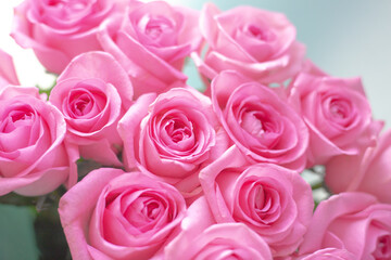 A festive bouquet of delicate pink roses. Beautiful flowers for a celebration.