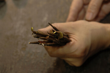 伝統工芸