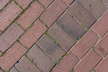 Texture of the cobblestone sidewalk on top.