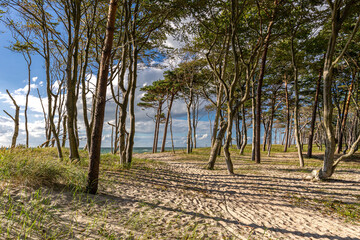 An der Ostsee
