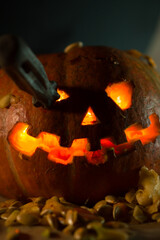 halloween pumpkin ripped its insides out of itself