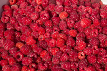 Outdoors shot box full of fresh juicy just picked up red raspberries. Healthy natural delicious...