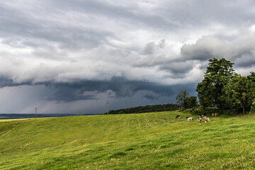 stormy clouds over the meadow