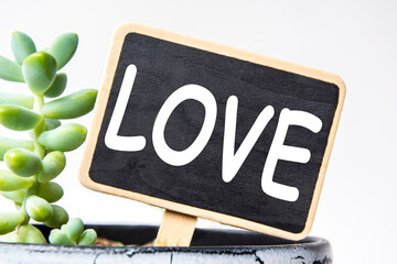 small black chalk board in a pot with succulents inscribed in white letters word love. business...