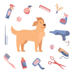 Blow-dry your dog's hair. Dog grooming in Cartoon style. Golden Retriever and care products, shampoos, wire cutters, combs, scissors. Vector illustration isolated on white background