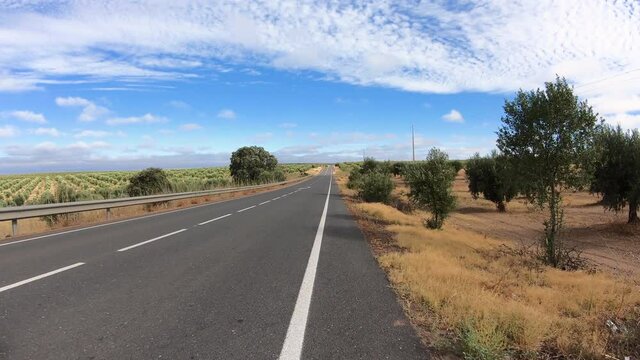 dolly move forward - M517 paved road through olive groves next to Povoa de Sao Miguel, municipality of Moura, district of Beja, Alentejo, Portugal