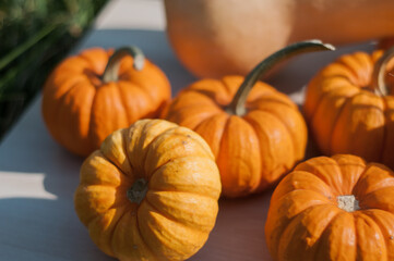 Orange halloween pumpkins on stack of hay or straw in sunny day, fall display