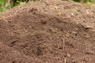 Compost in the garden. Compost heap of earth.