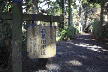 箱根旧街道