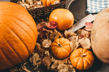 pumpkins on a table thanksgiving day