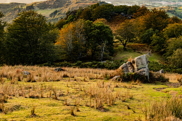 Naturaleza en anochecer durante la subida la monte Adarra del Pa&iacute;s Vasco