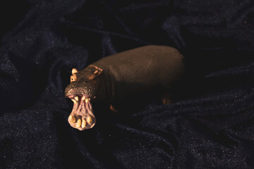 Photo Of a toy hippo on a dark background.
