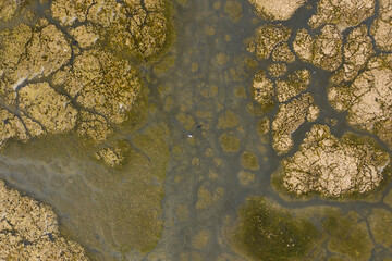 Aerial view of a shallow lagoon with wetland and calm water.