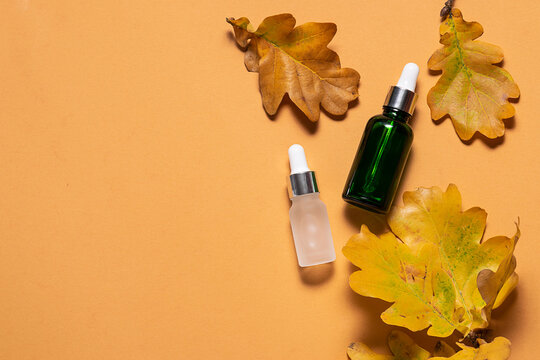Set of ECO natural serums for skin care on terracotta background with bright autumn leaves. Cosmetic branding mock up. Face care in autumn time concept.