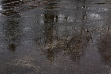 Dark brown asphalt autumn tree silhouette reflection into water rain puddle on city street 