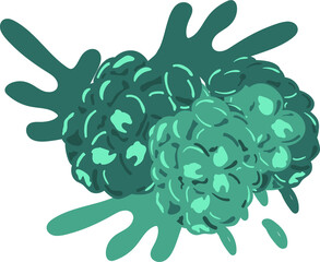 vector drawings of handmade raspberry berries on a white isolated background, flat. Romantic background, symbol, wrapping, gifts, holiday, greeting card, decoration