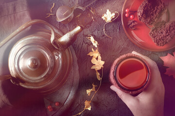 Female hand holding a warm cup of tea on a cold day in Winter.