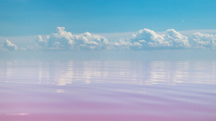 Pink salt lake water surface close view with mirror reflection of magic clouds on blue sky. Syvash or Sivash, the Putrid Sea or Rotten Sea, Ukraine