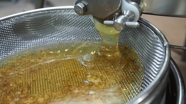 Fresh honey to drip from honey extractor to metal filter. Organic honey production. Slow motion. High quality FullHD footage. 