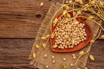 Dry chickpea in ceramic bowl and it's own branches