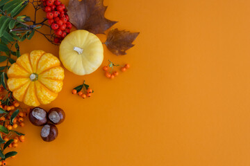 Autumn flat lei on an orange background of leaves, berries and small pumpkins. The concept of autumn holidays, Thanksgiving day. Place for text