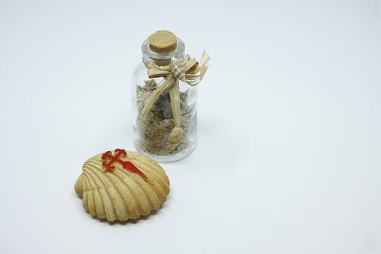 Seashell of St. James with a bloody red cross. Symbol of pilgrims. Road sign in pilgrimage to Santiago de Compostela.