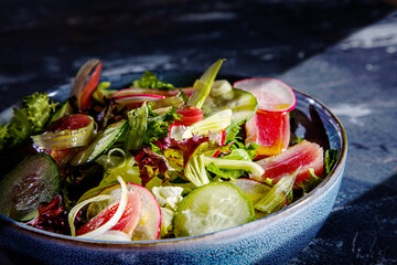 Salad of lettuce, tuna, cucumbers and radishes is on the plate