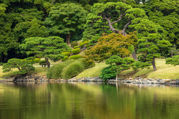 Fototapeta na wymiar 日本庭園にある池と林と森