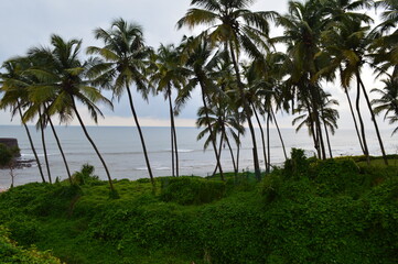 Candolim beach view, Goa, India