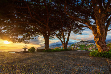Funchal (Madeira) in seiner Schönheit 01