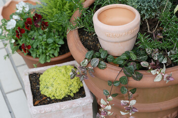 コンテナガーデン