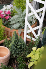 コンテナガーデン